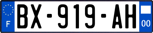 BX-919-AH