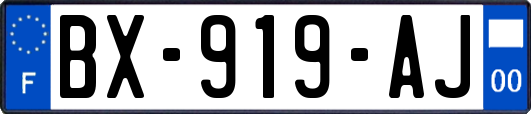 BX-919-AJ