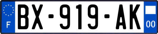 BX-919-AK