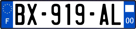 BX-919-AL