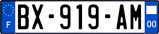 BX-919-AM