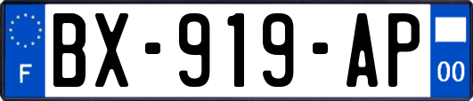 BX-919-AP