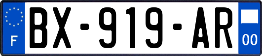 BX-919-AR