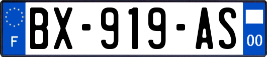 BX-919-AS