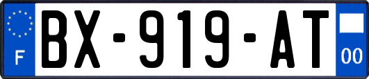 BX-919-AT