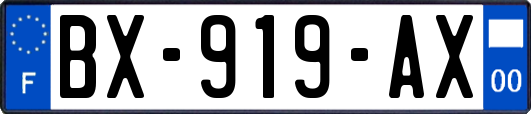 BX-919-AX