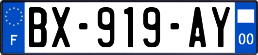 BX-919-AY