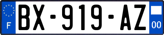 BX-919-AZ