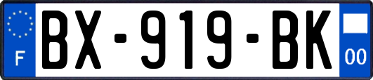 BX-919-BK