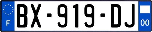 BX-919-DJ