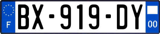 BX-919-DY