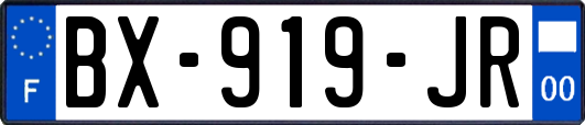 BX-919-JR