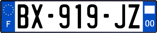 BX-919-JZ