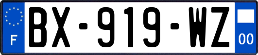 BX-919-WZ