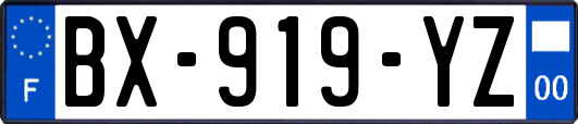 BX-919-YZ