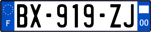 BX-919-ZJ