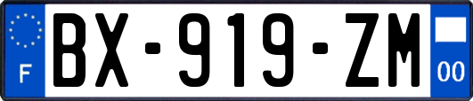 BX-919-ZM