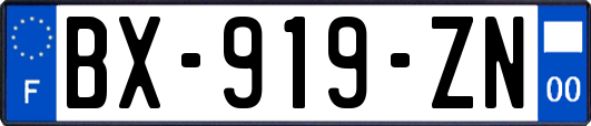 BX-919-ZN