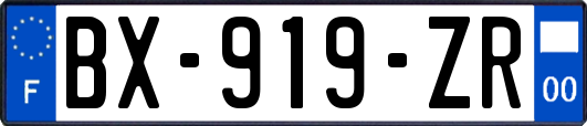 BX-919-ZR
