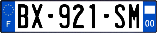 BX-921-SM