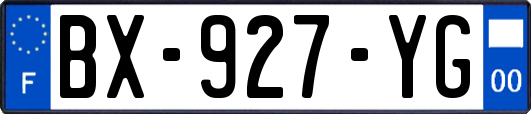 BX-927-YG