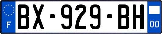 BX-929-BH