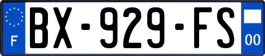 BX-929-FS