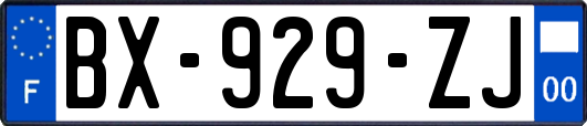 BX-929-ZJ