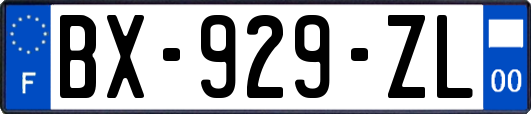 BX-929-ZL