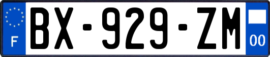 BX-929-ZM