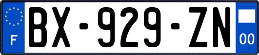 BX-929-ZN