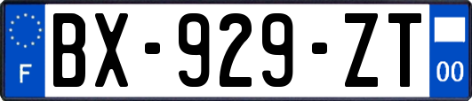 BX-929-ZT