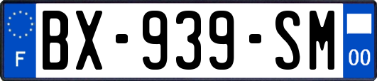 BX-939-SM