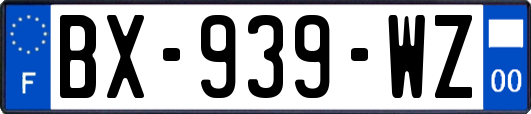 BX-939-WZ