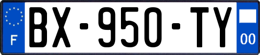 BX-950-TY