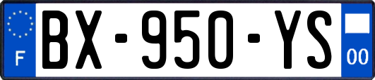 BX-950-YS