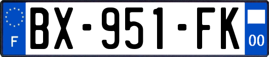 BX-951-FK