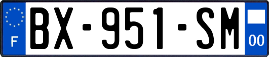 BX-951-SM