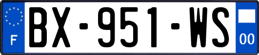 BX-951-WS