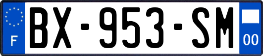 BX-953-SM