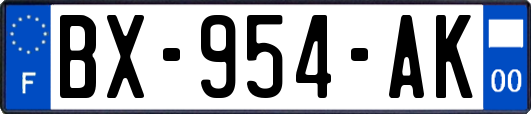 BX-954-AK