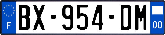 BX-954-DM