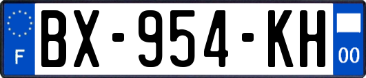 BX-954-KH