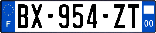 BX-954-ZT