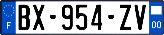 BX-954-ZV