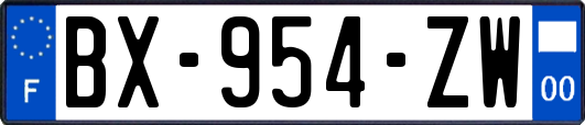BX-954-ZW