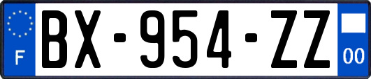 BX-954-ZZ