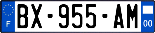 BX-955-AM