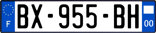 BX-955-BH