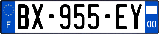 BX-955-EY